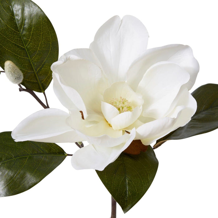 Magnolia Flower Spray Pack of 12 - White, 81cm (H)