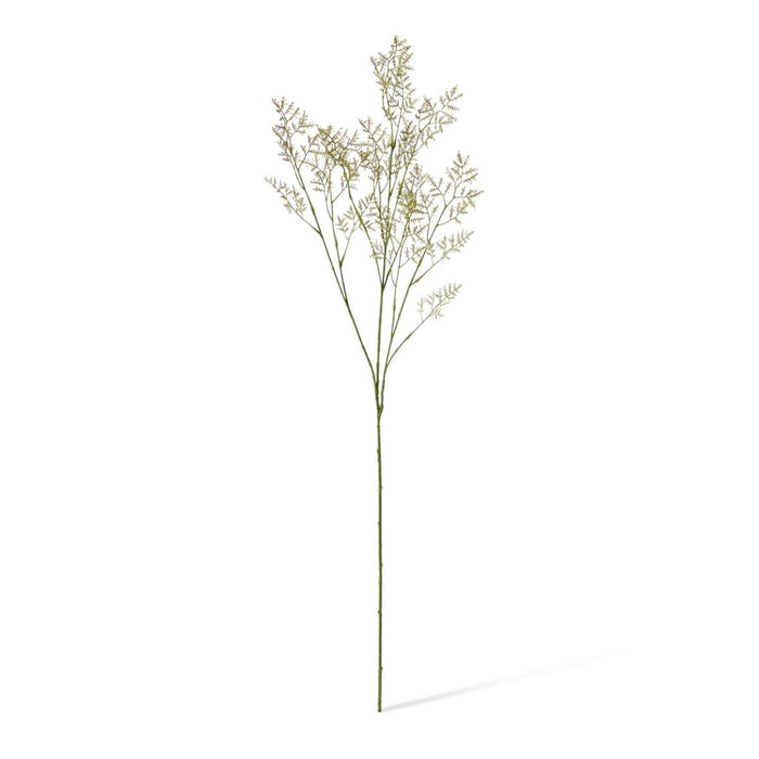 Limonium Spray Pack of 12 - Cream, 100cm (H)