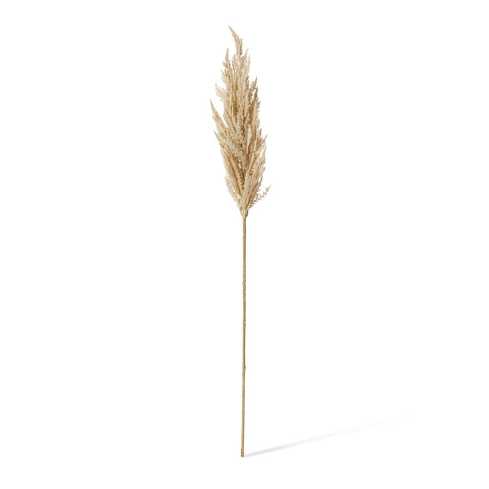 Pampas Grass Stem Pack of 12 - Beige, 94cm (H)