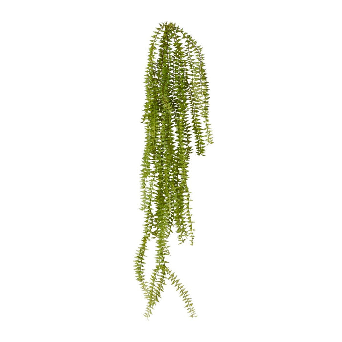 Sawtooth Hanging Plant Pack of 12 - Green, 80cm (H)