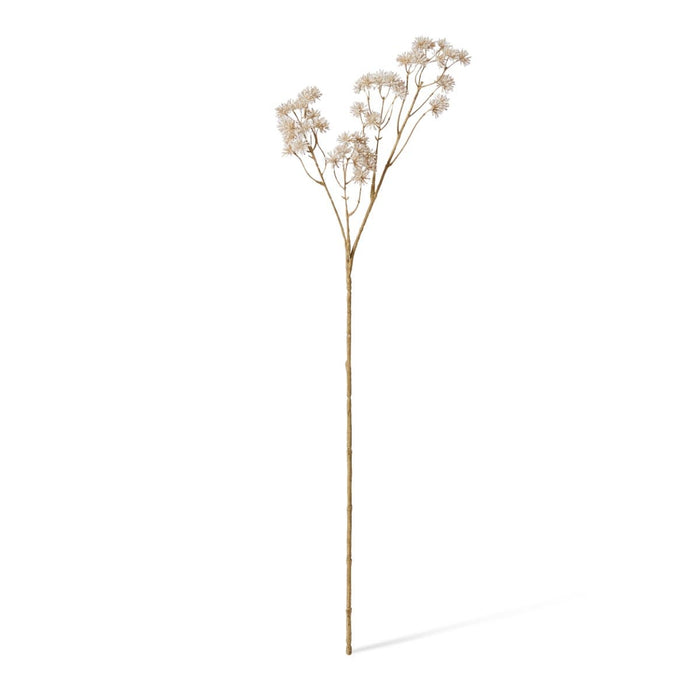 Aralia Deco Seed Spray Pack of 12 - White, 84cm (H)