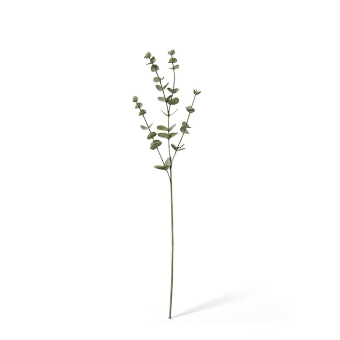 Eucalyptus Spray Pack of 12 - Grey Green, 61cm (H)