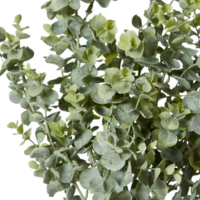 Eucalyptus Bundle Pack of 12 - Grey Green, 64cm (H)