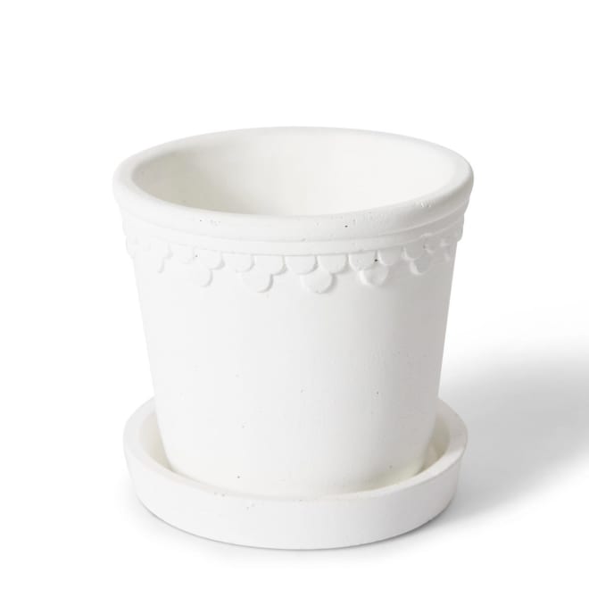 Sophia Pot w Saucer - White, 12cm (H)