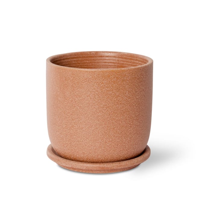 Allegra Pot w Saucer - Terracotta, 15cm (H)