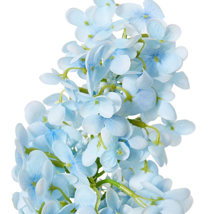 Cone Hydrangea (RT) Pack of 12 - Blue, 75cm (H)