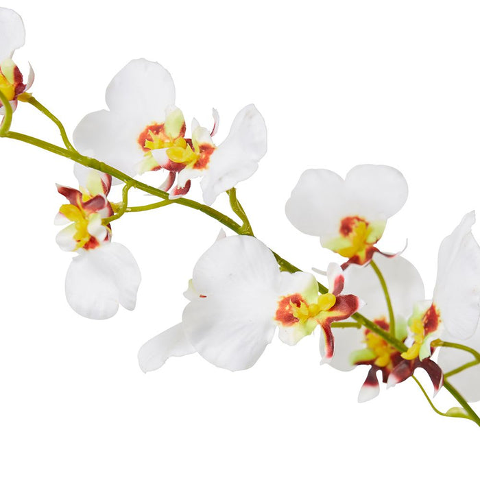 Dancing Orchid Spray (RT) Pack of 12 - White, 97cm (H)