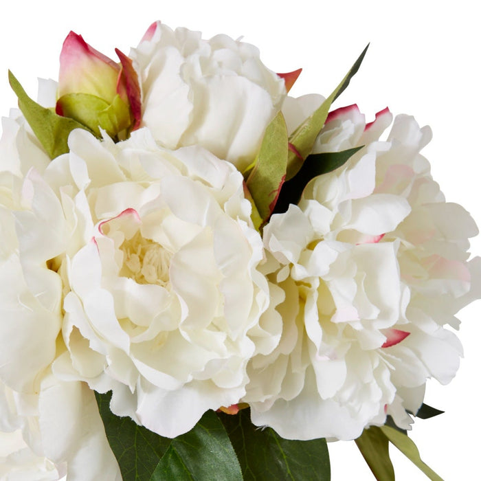 Peony Juliana Bouquet Pack of 6 - White, 15cm (H)