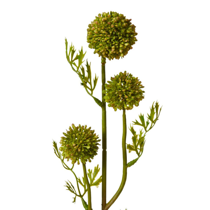 Pom Pom Seeding Spray Pack of 12 - Green, 61cm (H)
