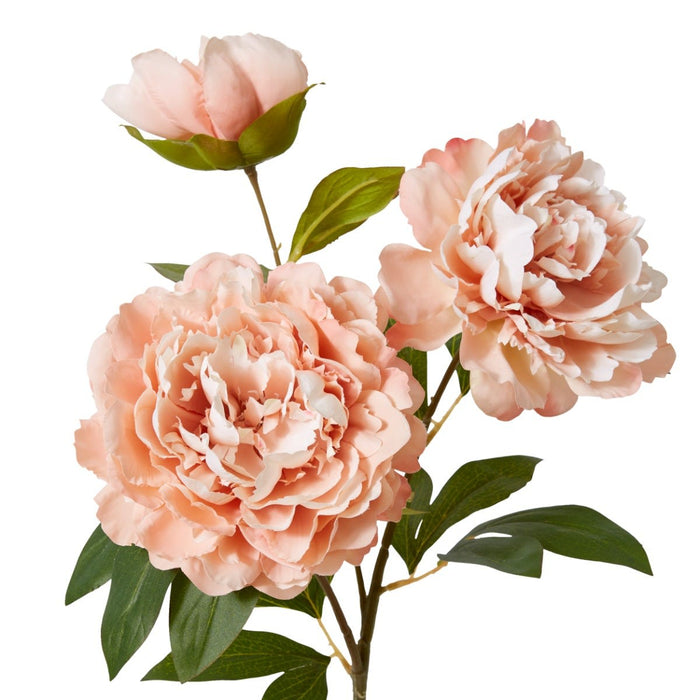 Peony Queen Spray Pack of 12 - Pink, 76cm (H)