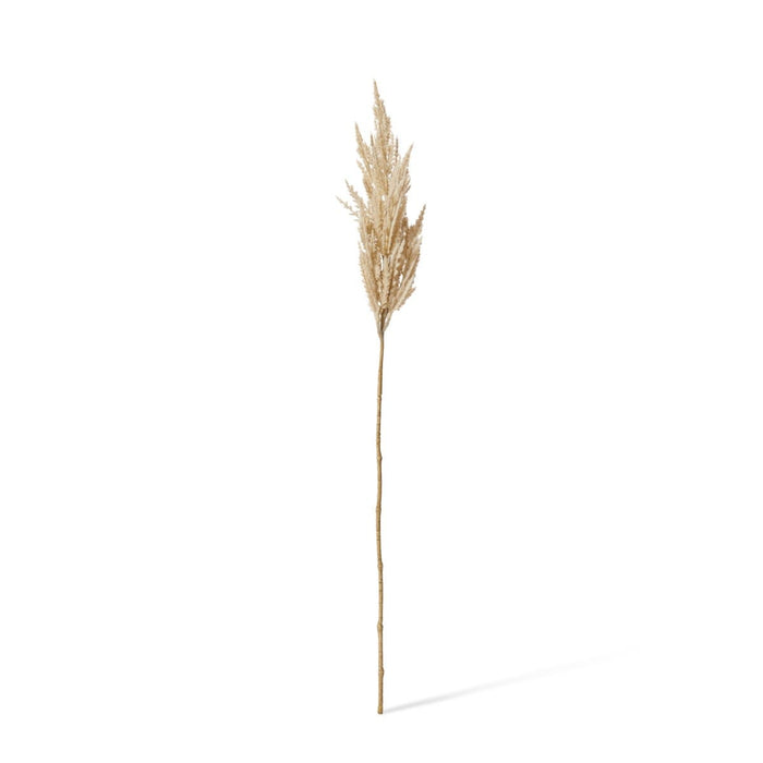 Pampas Grass Stem Pack of 12 - Beige, 83cm (H)