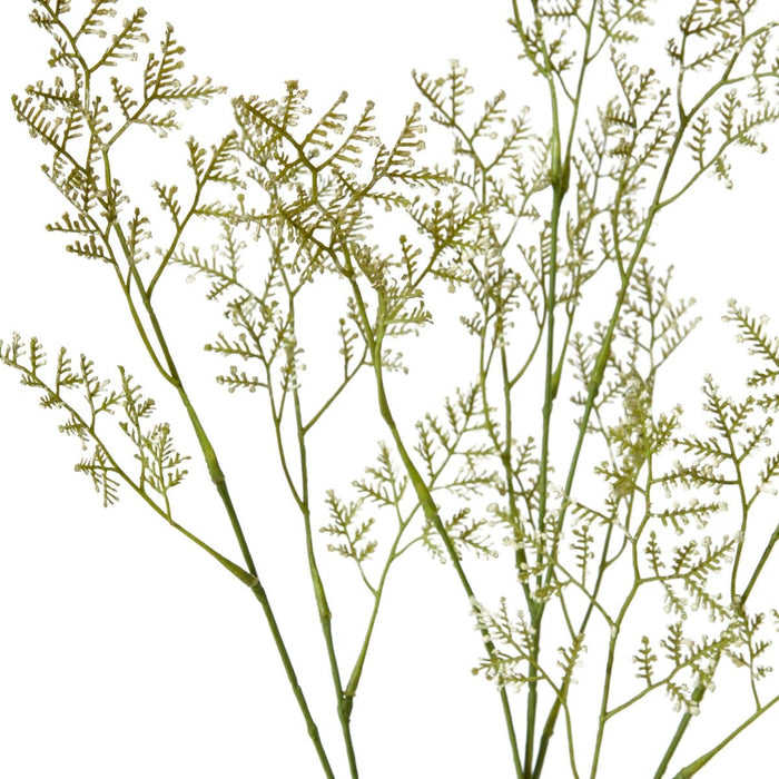 Limonium Spray Pack of 12 - Cream, 100cm (H)