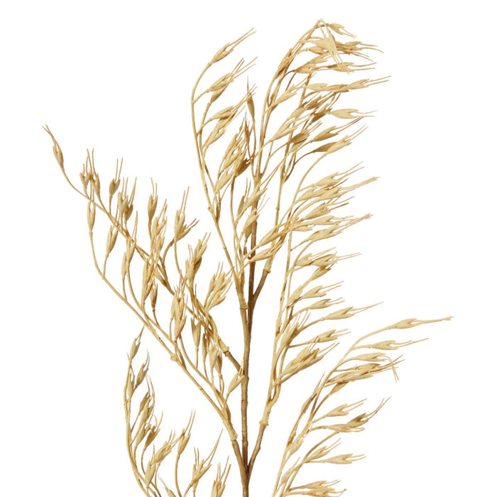 Wheat Grass Stem Pack of 12 - Natural, 89cm (H)