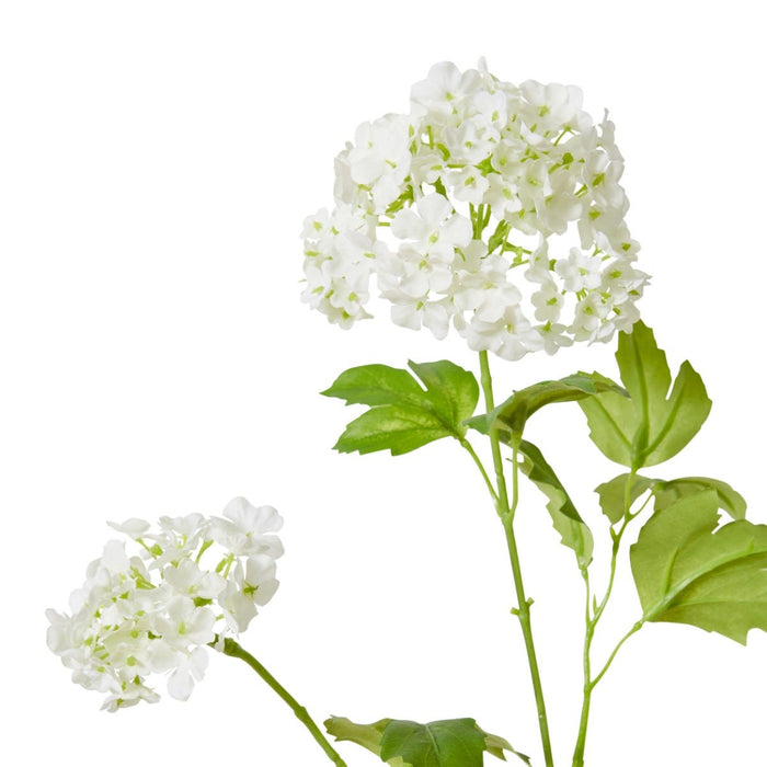 Snowball Spray Pack of 12 - White, 77cm (H)