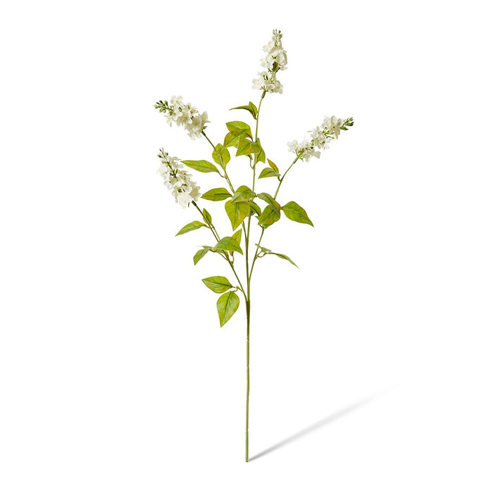 Larkspur Spray Pack of 12 - White, 62cm (H)