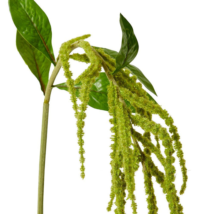 Amaranthus Spray Pack of 12 - Green, 114cm (H)