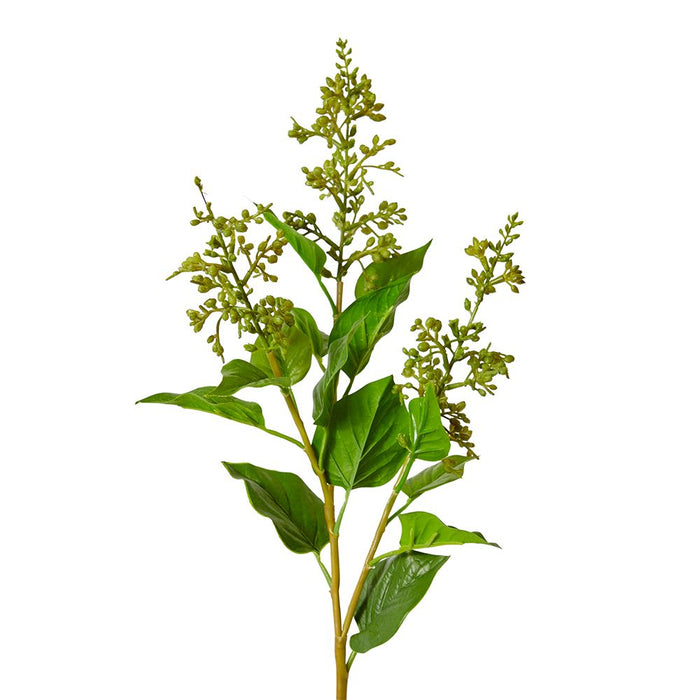 Lilac Seed Spray Pack of 12 - Green, 67cm (H)
