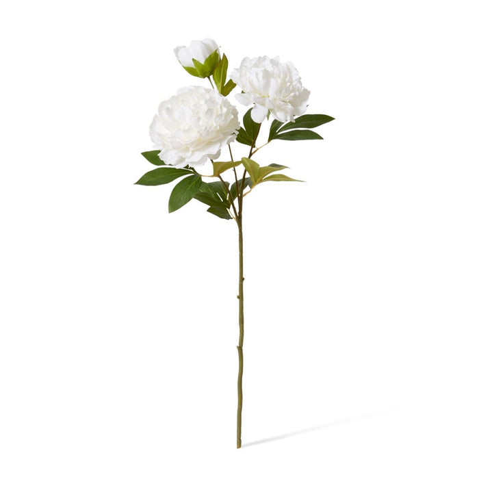 Peony Queen Spray Pack of 12 - White, 76cm (H)