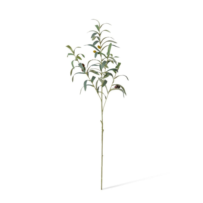 Olive Spray Pack of 12 - Grey Green, 81cm (H)