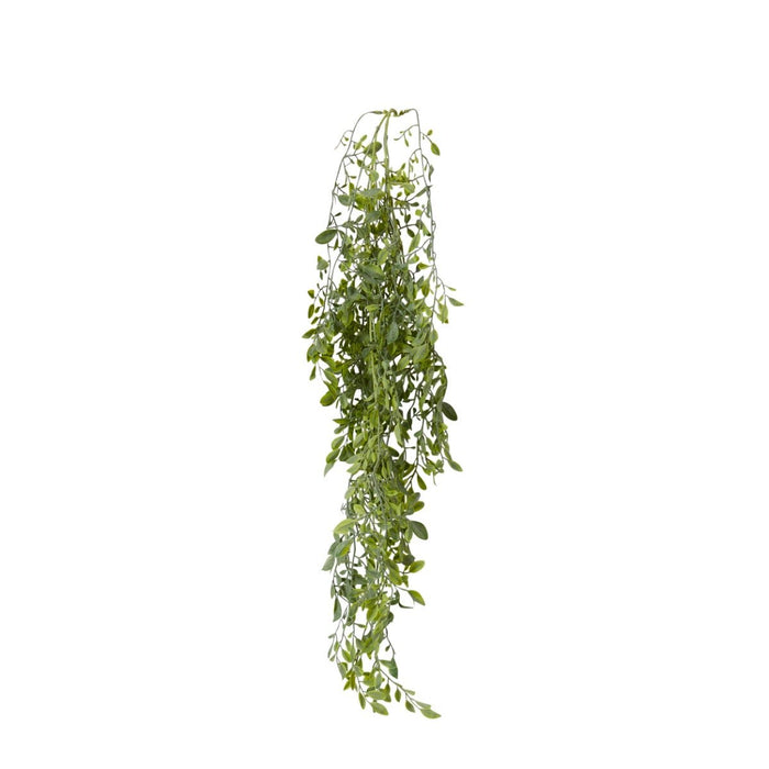 Lemon Beauty Hanging Vine Pack of 12 - Grey Green, 80cm (H)