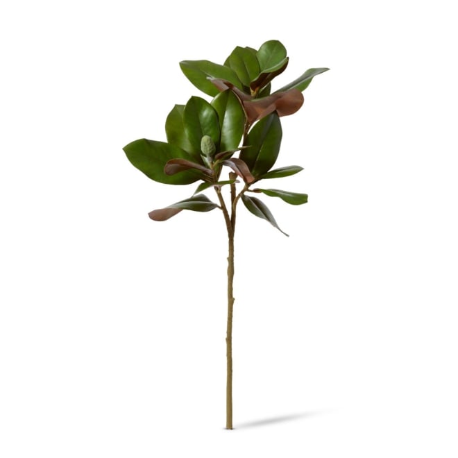 Magnolia Grand Leaves Branch Pack Of 6 - Green, 82cm (H)