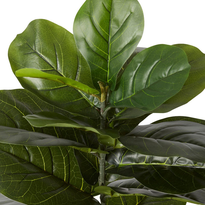 Fiddle Tree - Green, 110cm (H)