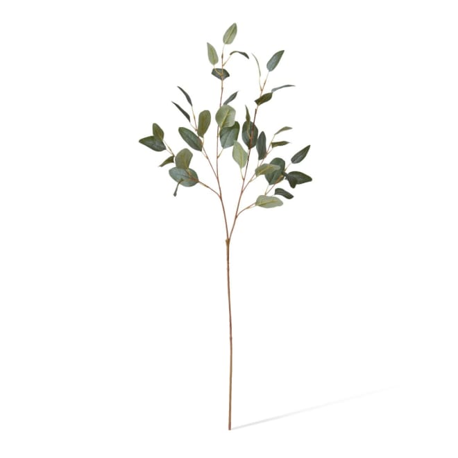 Eucalyptus Spray Pack Of 12 - Grey Green, 90cm (H)