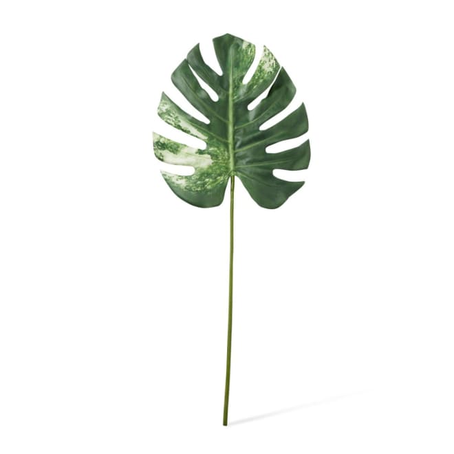 Monstera Lush Stem Pack Of 12 - Green White, 78cm (H)