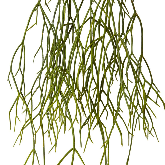 Cactus Pencil Plant Pack of 12 - Green, 53cm (H)