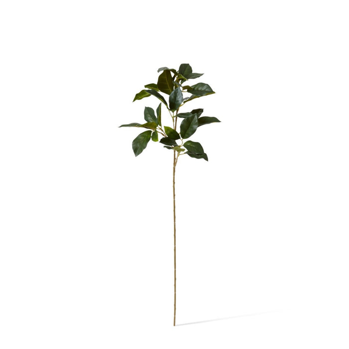 Viburnum Spray Pack of 12 - Green, 66cm (H)