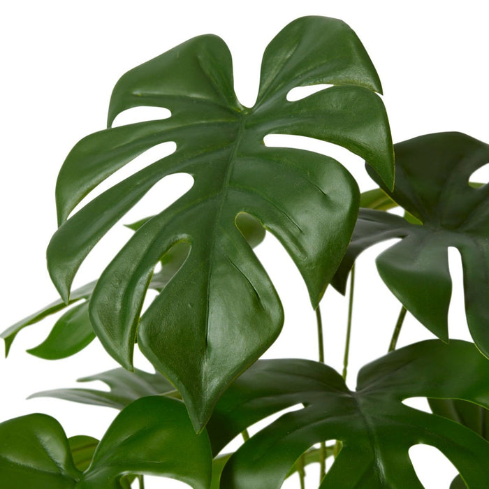Monstera Plant Potted - Green, 39cm (H)