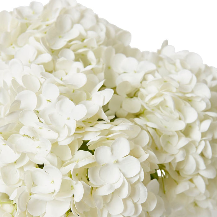Hydrangea Classic White (DS) - White/Clear, 34cm (H)