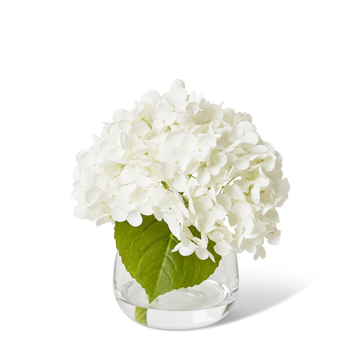 Hydrangea Classic White - White/Clear, 23cm (H)