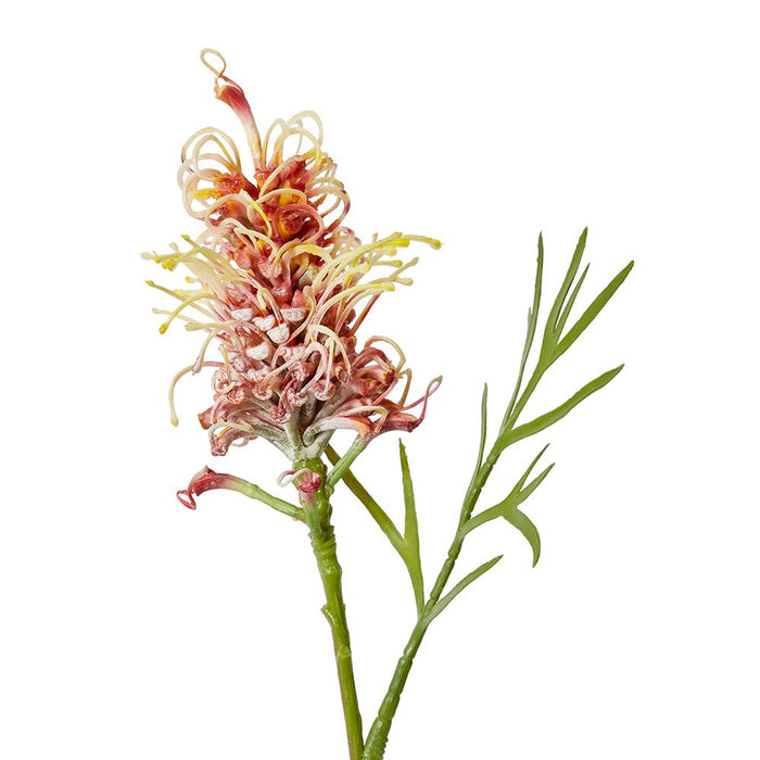 Grevillia Flower Lg Stem Pack of 12 - Red, 64cm (H)
