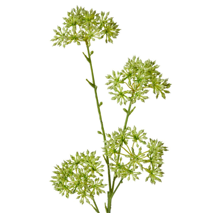 Seeding Nut Spray Pack of 12 - Green, 58cm (H)