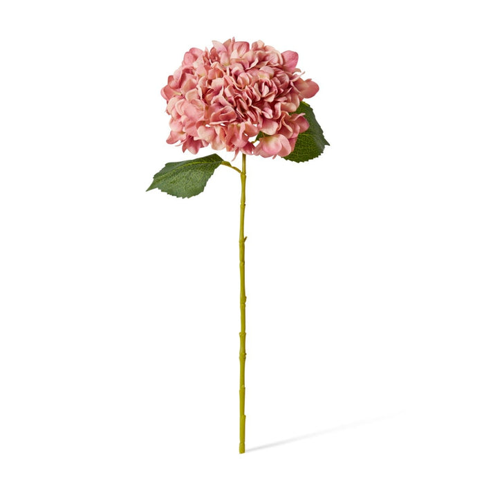 Hydrangea Classic Large Stem Pack of 12 - Dusty Pink, 65cm (H)