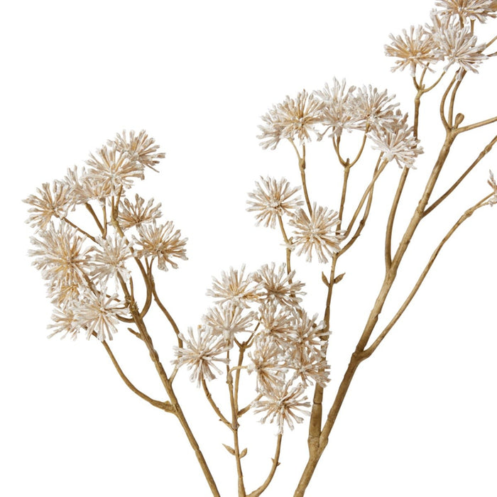 Aralia Deco Seed Spray Pack of 12 - White, 84cm (H)