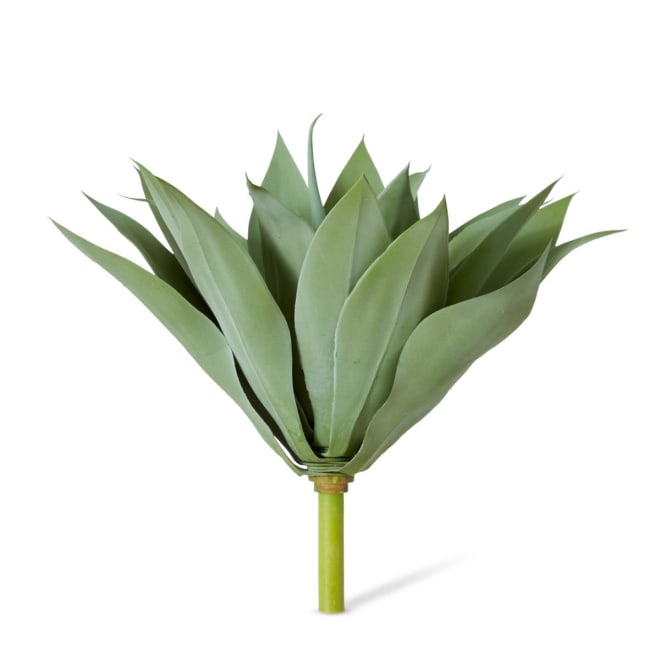 Agave Pack of 2 - Grey Green, 41cm (H)