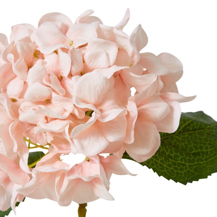 Hydrangea Classic Small Stem Pack of 12 - Pink, 61cm (H)