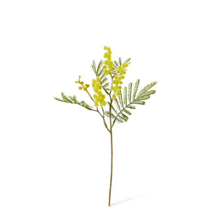 Wattle Pick Pack of 24 - Yellow, 33cm (H)