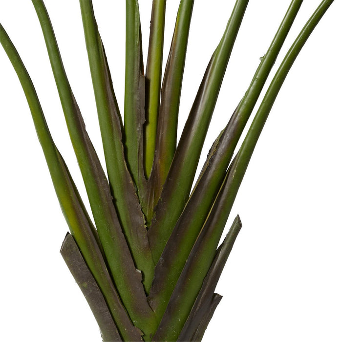 Palm Travellers - Green, 180cm (H)