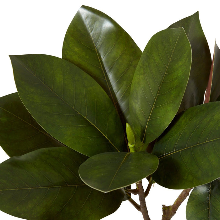 Magnolia Leaf Spray Pack of 12 - Green, 70cm (H)