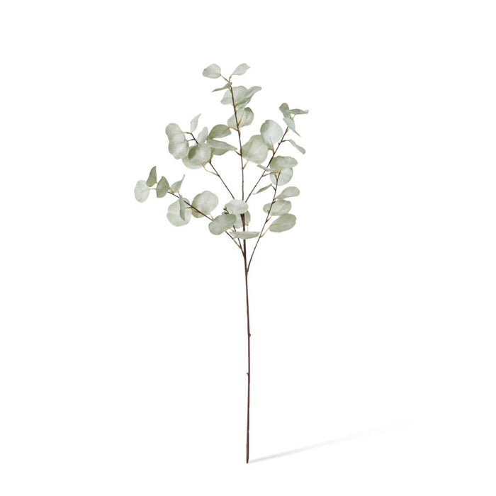 Eucalyptus Dollar Spray Pack of 12 - Light Green, 90cm (H)