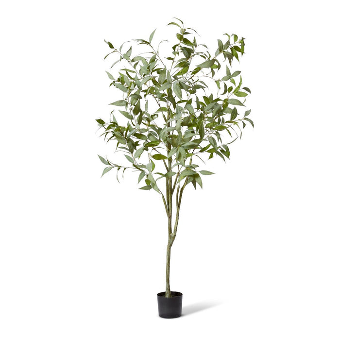 Gum Tree - Grey Green, 200cm (H)
