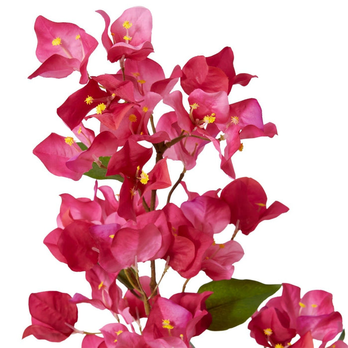 Bougainvillea Spray Pack of 12 - Hot Pink, 86cm (H)