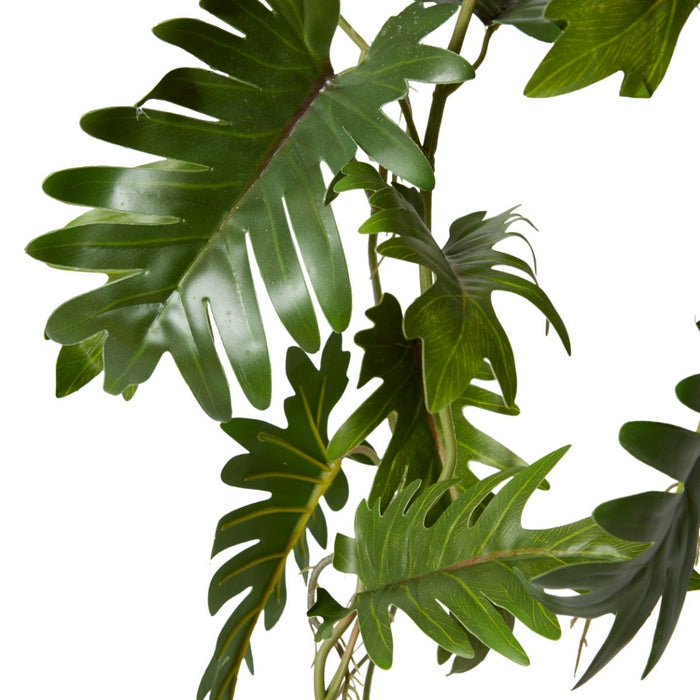 Philodendron Hanging Plant Pot - Green, 84cm (H)