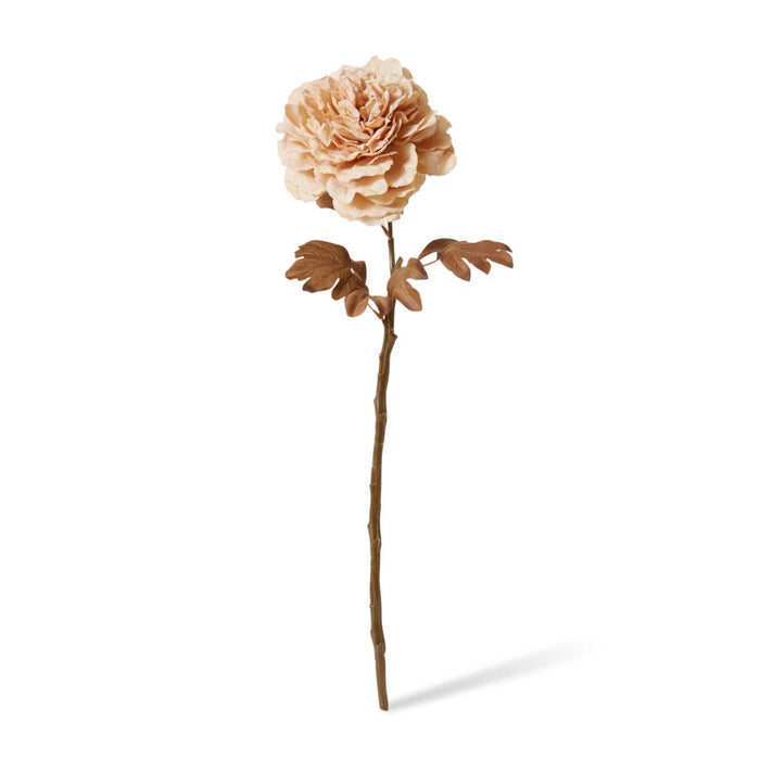 Peony Decor Stem Pack of 12 - Antique Cream, 69cm (H)