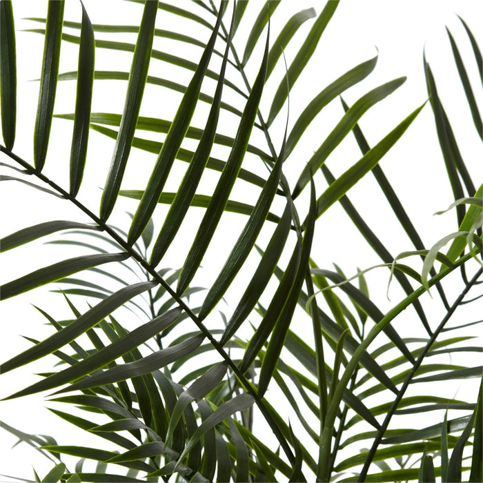 Palm Areca (Outdoor) - Green, 90cm (H)