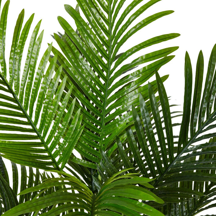Palm Areca - Green, 150cm (H)