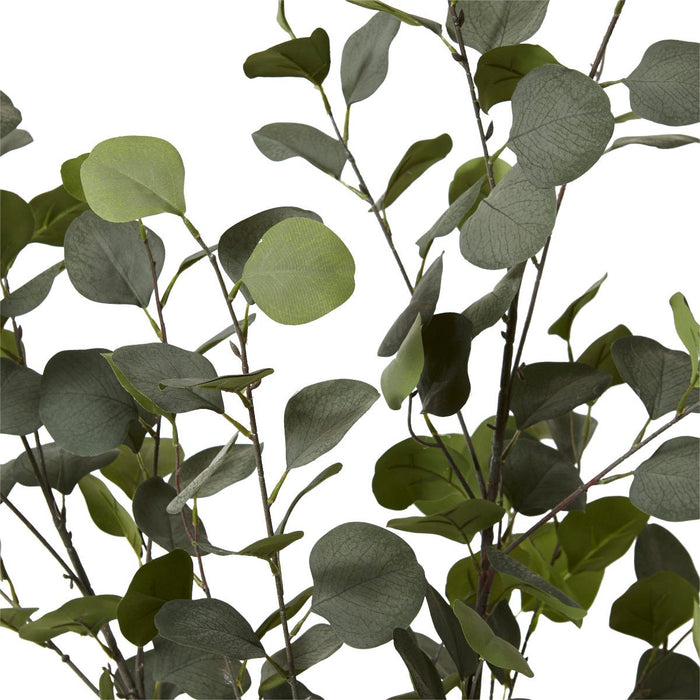 Eucalyptus Tree - Green, 120cm (H)